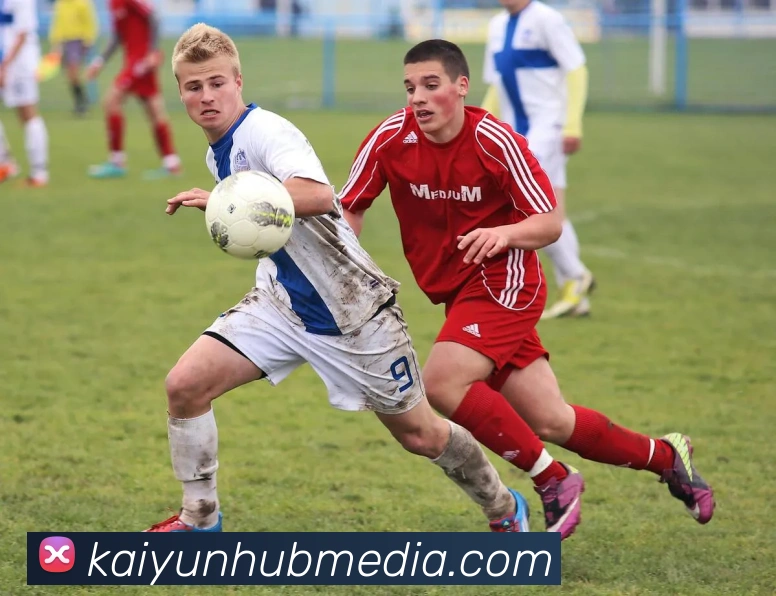 开云平台展示图